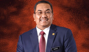 Projek ladang hutan diluluskan perlu diganti sekiranya timbul risiko – MB Kedah