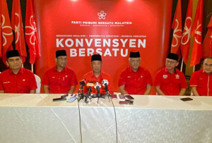 Pemilihan Bersatu: Peja undur diri, Hamzah bertanding Timbalan Presiden