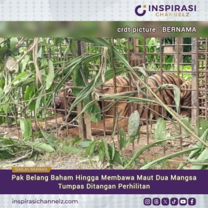 Nasib Harimau Malaya?