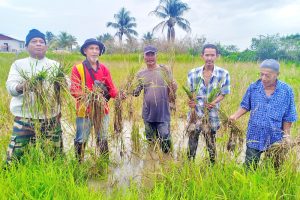Himpunan 1,000 PeSAWAH bertukar ke pekarangan KPKM
